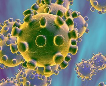 coronavirus